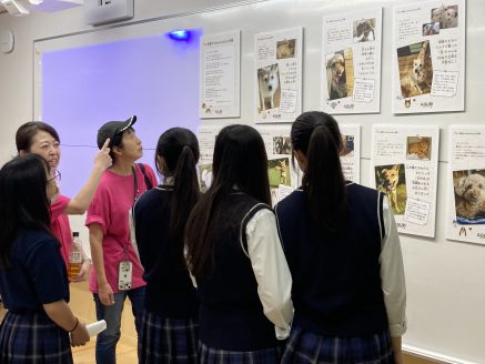 保護犬のビフォーアフターの物語を聞く学生たち