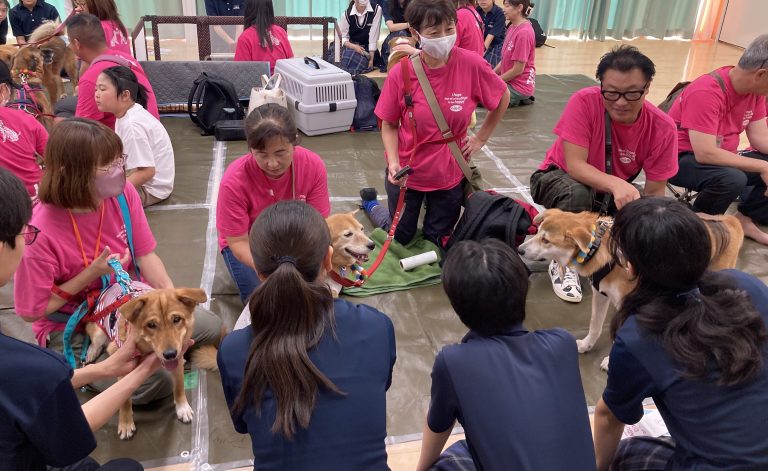 高校オープンキャンパスで保護犬の譲渡会