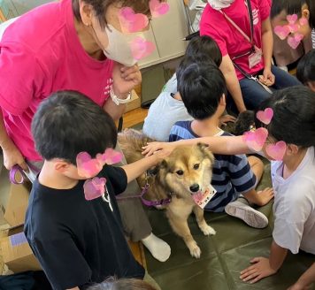 保護犬とふれあう小学生たち