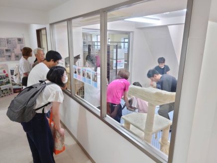 イベント中の猫舎見学の様子