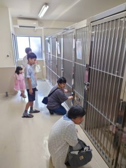 イベント中の犬舎見学の様子