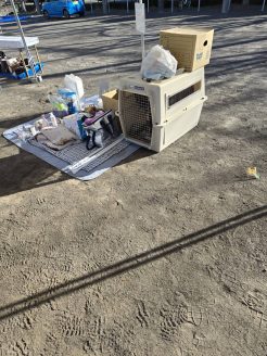 地域防災訓練会場