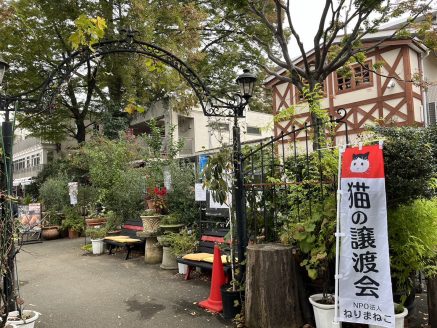 渋谷園芸さんでの譲渡会