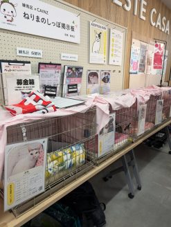 カインズさんでの譲渡会