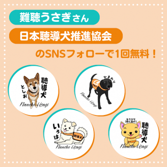 うさぎさんコラボガチャ