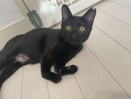 先天性疾患を持つ樹里ちゃん