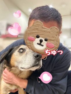 譲渡が難しい犬たちのお家loving-handsで暮らす保護犬