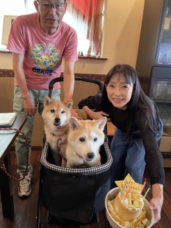 保護犬とご家族