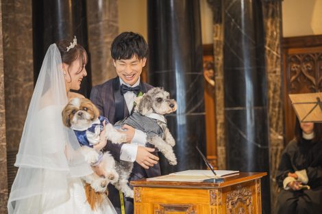 幸せになった保護犬だんちゃん