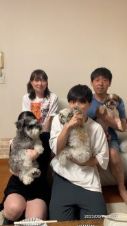 幸せになった保護犬だんちゃん