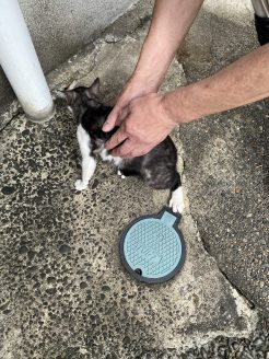 旧民宿の