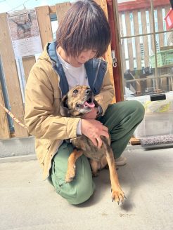 保護活動