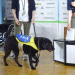 介助犬のデモンストレーション