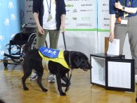介助犬のデモンストレーション