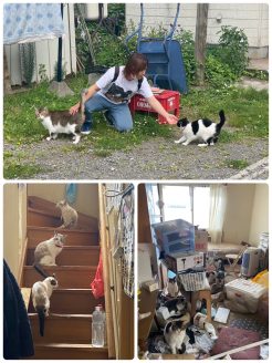 多頭飼育崩壊の現場
