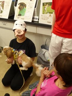 保護犬の抱っこに挑戦する小学生