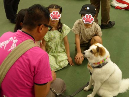 保護犬と小学生のふれあい