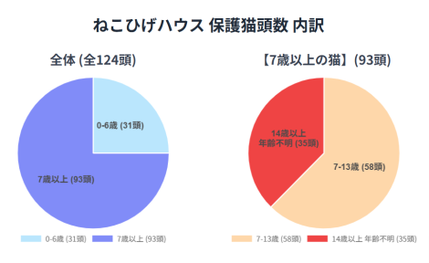 動物保護団体ねこひげハウスの保護猫の全頭数