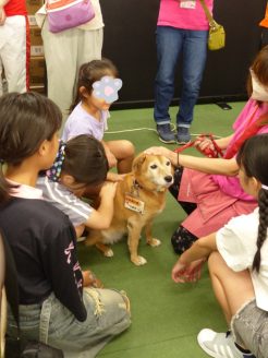 保護犬と小学生のふれあい