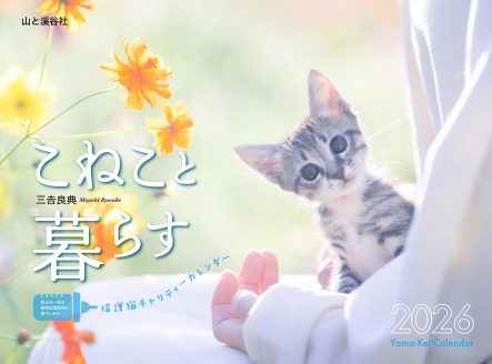 2026年版の書影