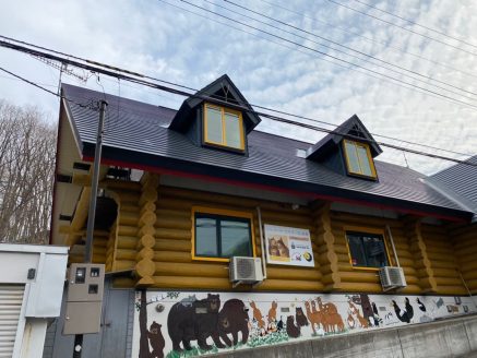 行き場を失った猫の終生飼養施設「月虹山荘〜ねこの方舟〜」
