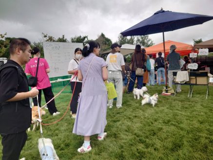 大人や子供そして愛犬たちとも一緒に