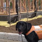 聴導犬施設