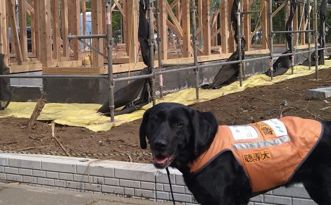聴導犬施設