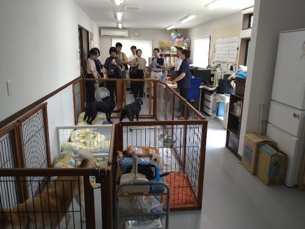 聴導犬施設