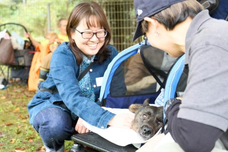ナデナデばちこちゃん