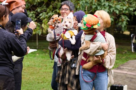 アスペン・ヒッコリー・マンゴー