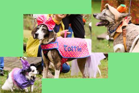 ハロウィン仮装1