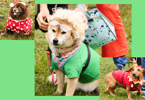 ハロウィン仮装2