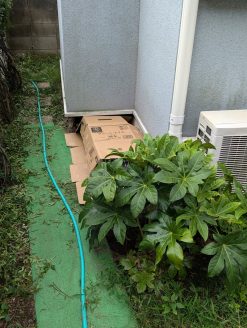 母猫を捕獲するための捕獲機