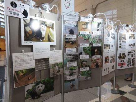 練馬区役所にて開催されたパネル展