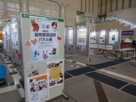 練馬区役所にて開催されたパネル展