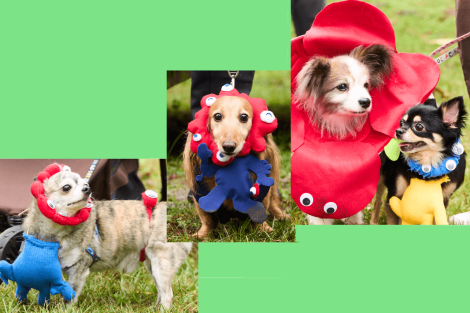 ハロウィン仮装3