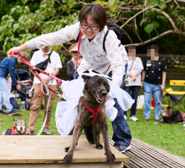 2024年の仮装大会