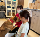 犬が安心できる環境を学ぶ