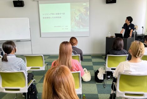 ペット救急医療について