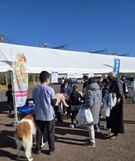 動物と同行避難