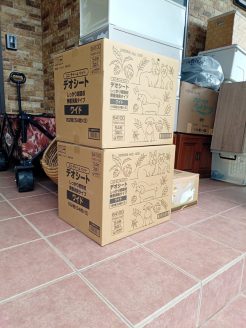 動物保護団体ねこひげハウスに届けられた保護猫たちの支援品