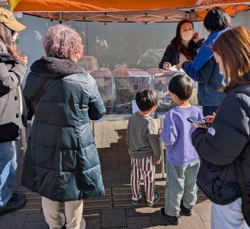 保護猫、譲渡会の様子