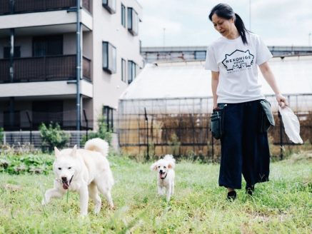 保護犬 小梅ちゃんの現在(左)
