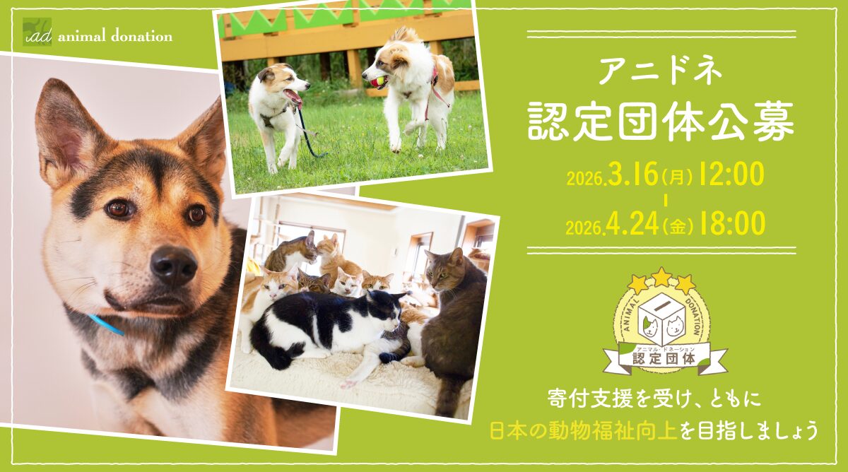 2026年度認定団体公募 開始しました！ | 寄付で拡げる犬猫の未来ー確か