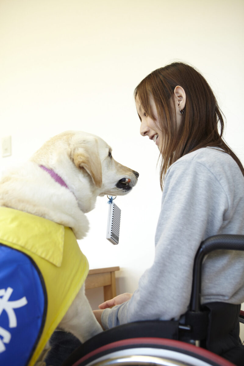 楽しく訓練する介助犬