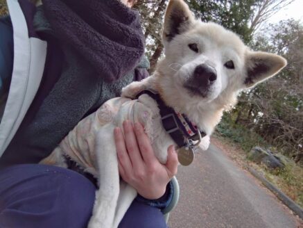 人が大好き❤抱っこ大好き❤