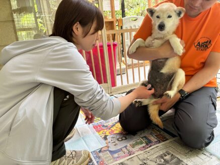 毎日のケア時も、お利口さん♪