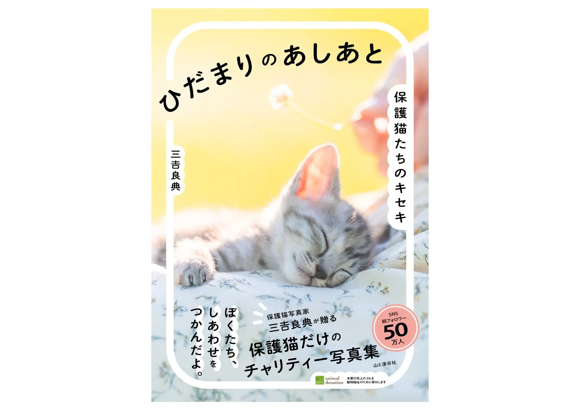 ＋イイコト | 寄付で拡げる犬猫の未来ー確かな団体選定のアニドネ