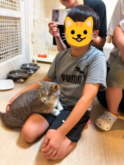 眼球摘出を乗り越えてトライアルが決定した保護猫のかつしん